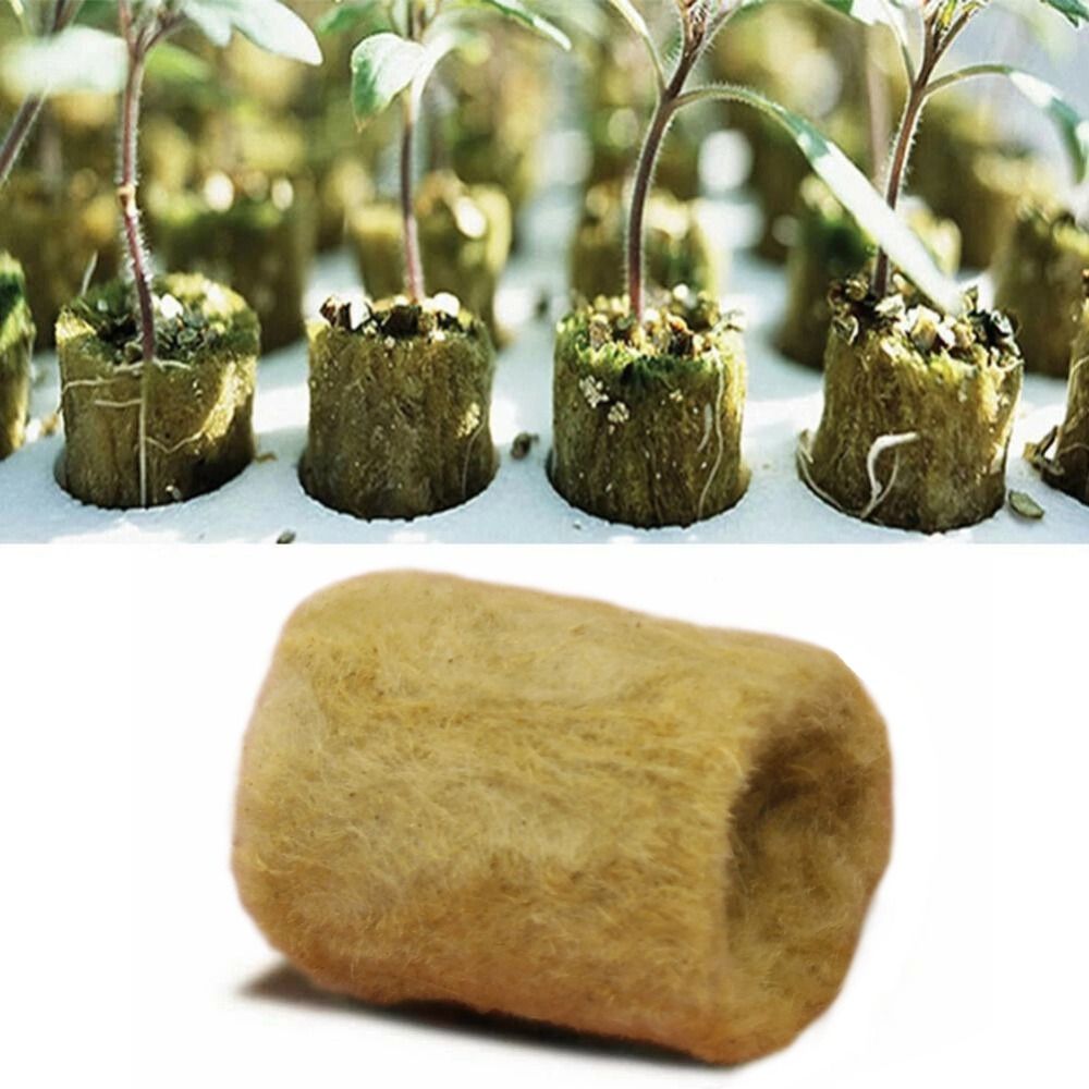 50 PEÇAS Bloco de Cultivo Hidr - Nursery Plug Tray avaliação e preço