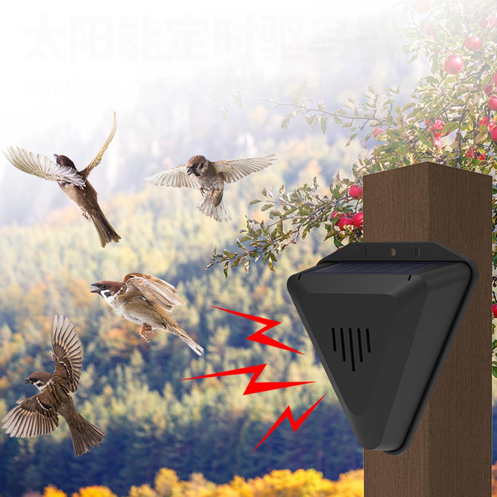 Repelente de Pássaros Solar à  - Solar Bird Scarer avaliação e preço