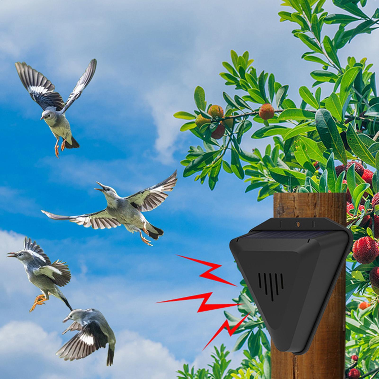 Repelente de Pássaros Solar à  - Solar Bird Scarer avaliação e preço