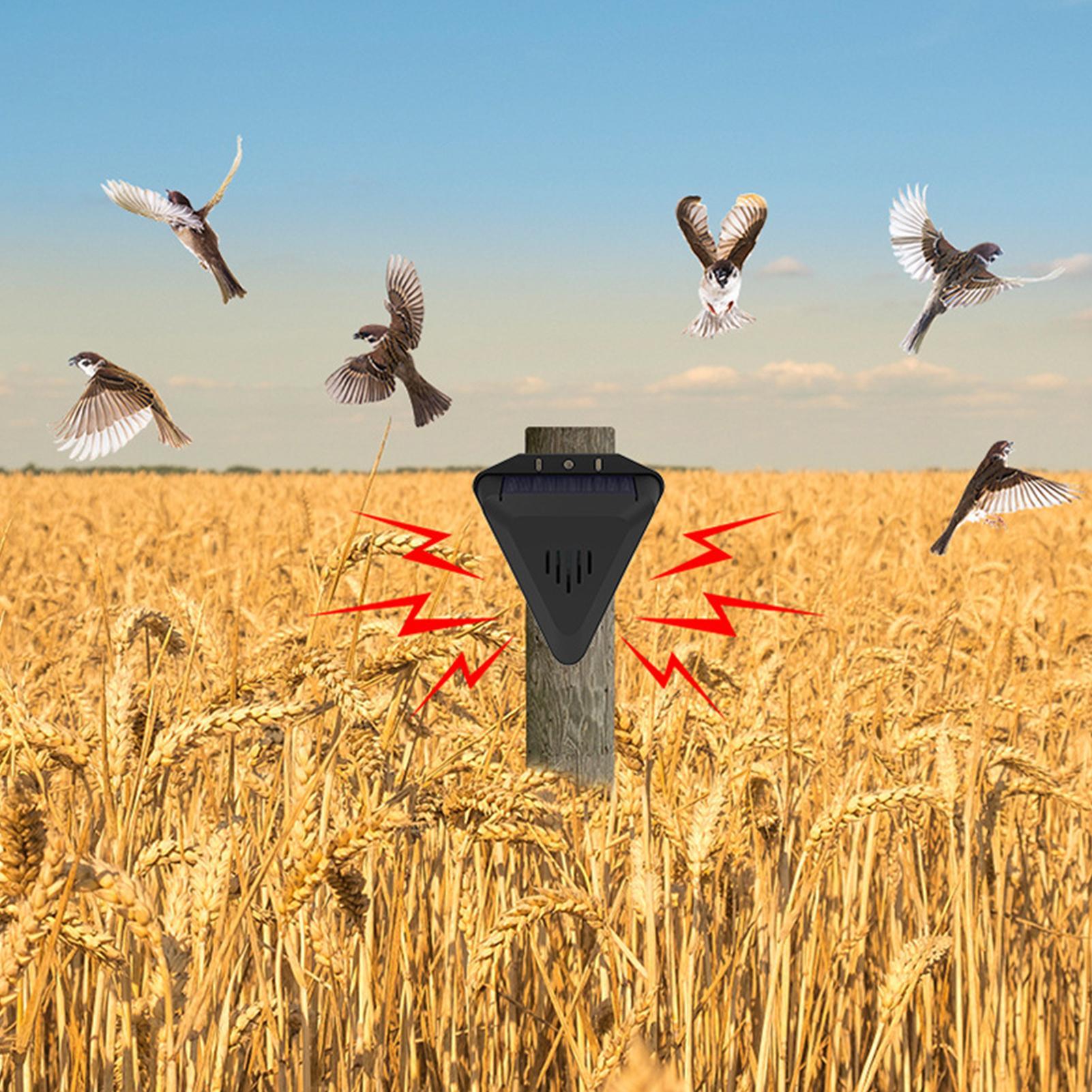 Repelente de Pássaros Solar à  - Solar Bird Scarer avaliação e preço