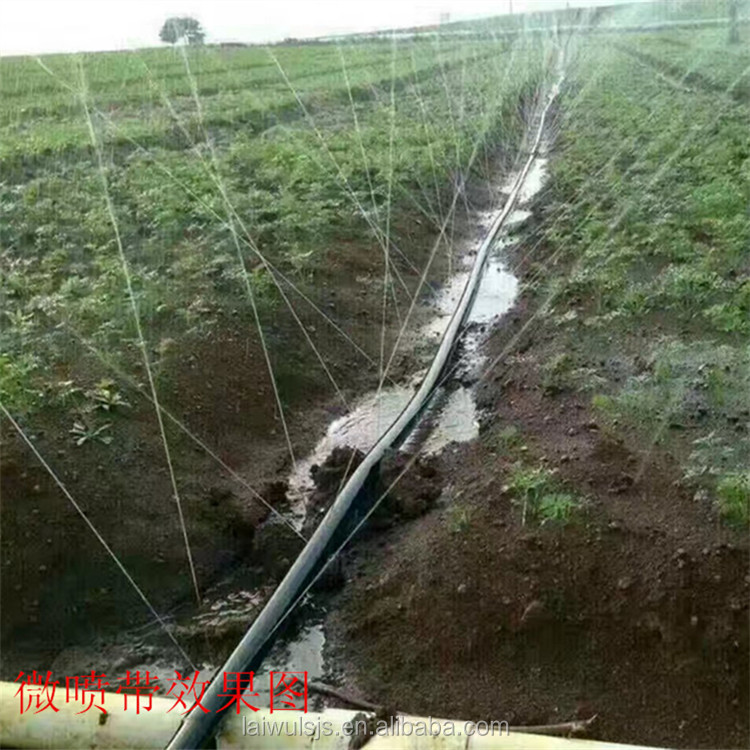 Kit de irrigação com fita de g - Irrigation Drip Tape avaliação e preço